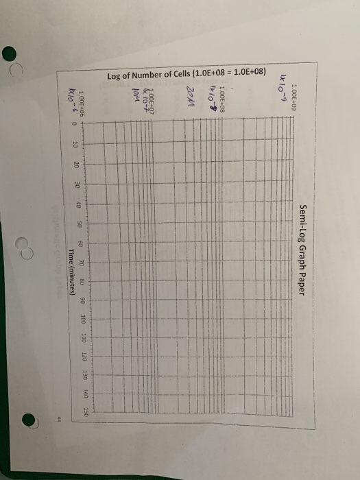 can someone please graph these two graphs its for cheggcom