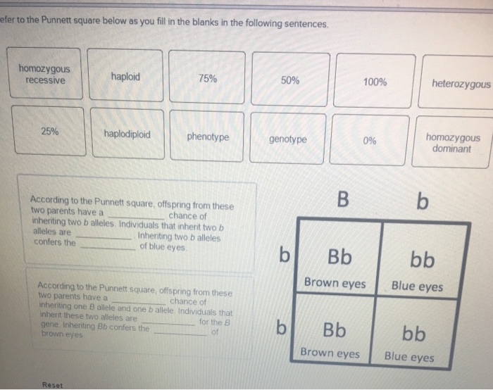 Solved To the Punnett square below as you fill in the blanks | Chegg.com