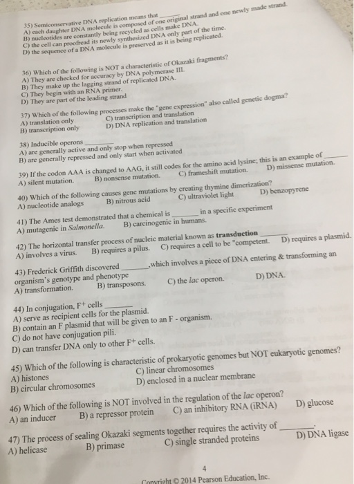 Solved LECTURE EXAM 2 MICROBIOLOGY 1) A Cell That Uses An&hellip;