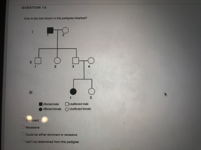 Solved QUESTION Check All The Choices Below That Are True Chegg