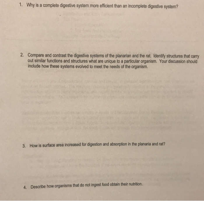 Solved 1. Why is a complete digestive system more efficient | Chegg.com