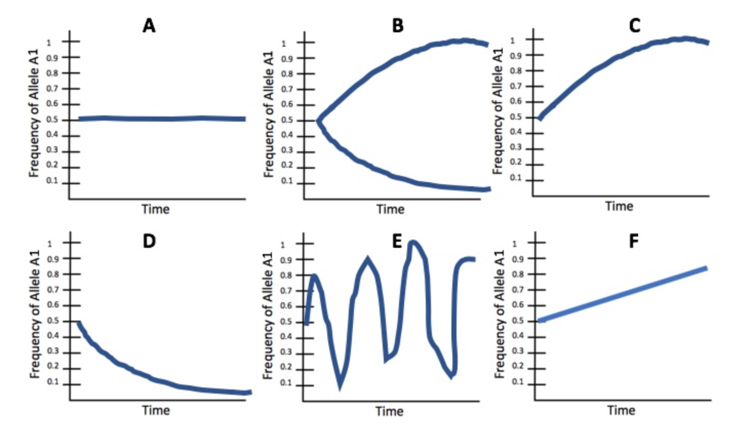 Solved For each of the five scenarios provided below (1-5), | Chegg.com