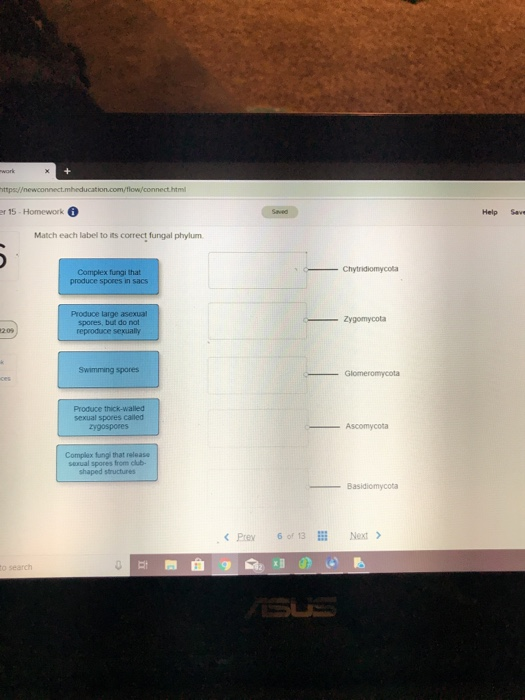 Solved ttps//newconnect er 15- Homework Help Save Match each | Chegg.com