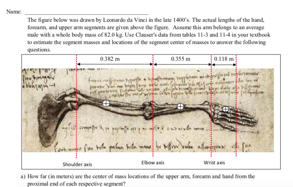 Name The Figure Below Was Drawn By Leonardo Da Vi Chegg Com