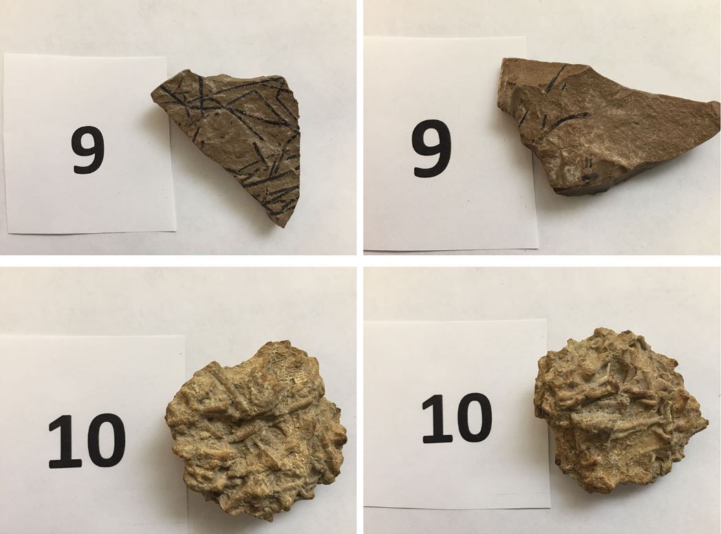 Solved ANSWER THE QUESTIONS RELATING TO EACH SAMPLE. SAMPLE | Chegg.com