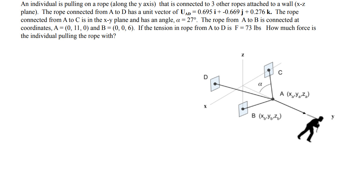 Solved An individual is pulling on a rope (along the y axis) | Chegg.com