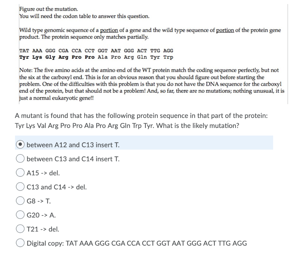 Solved Question 20 (1 point) Figure out the mutation. You | Chegg.com
