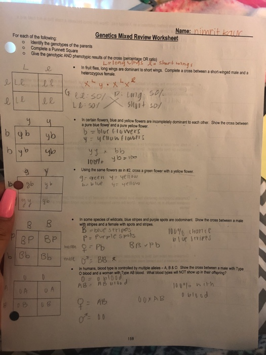 Genetics Review Worksheet Answers / Answers Unit Review Worksheet