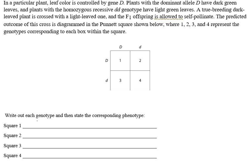 Solved In a particular plant, leaf color is controlled by