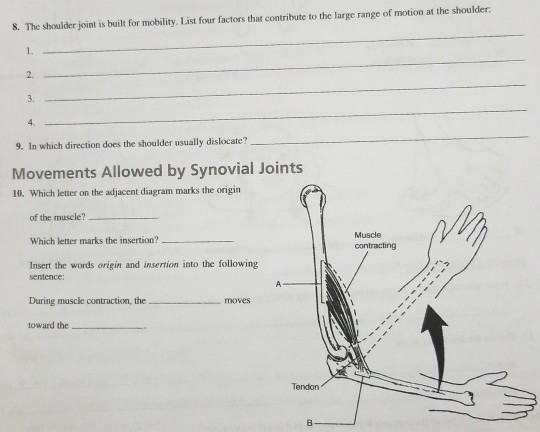 Solved S. The shoulder joint is built for mobility. List | Chegg.com