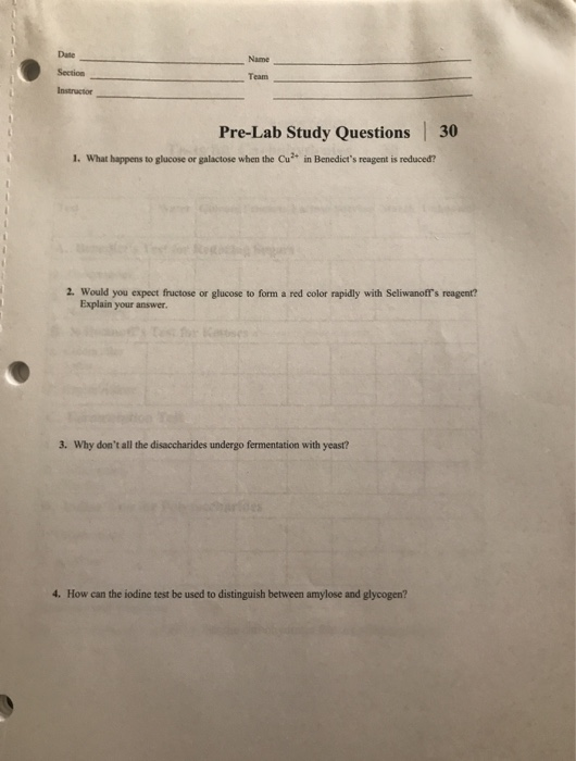 Solved Date Section Instructor Name Team Pre-Lab Study | Chegg.com
