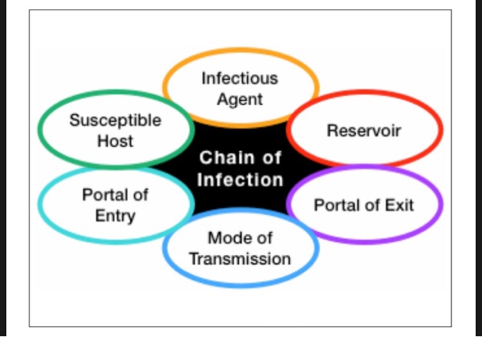 Infectious Agent Susceptible Host Reservoir Chain of | Chegg.com