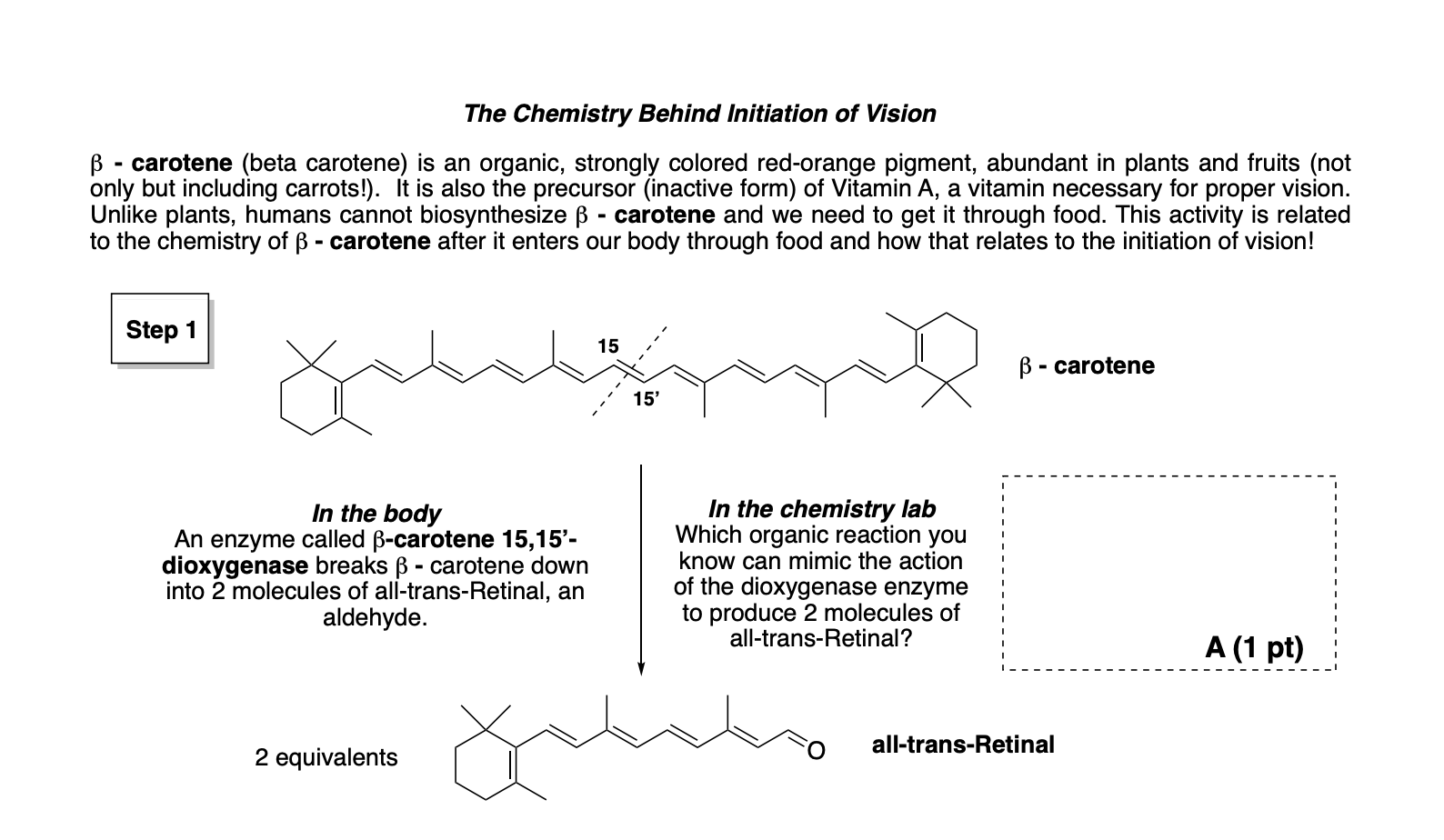 Solved The Chemistry Behind Initiation Of Vision B Caro Chegg Com