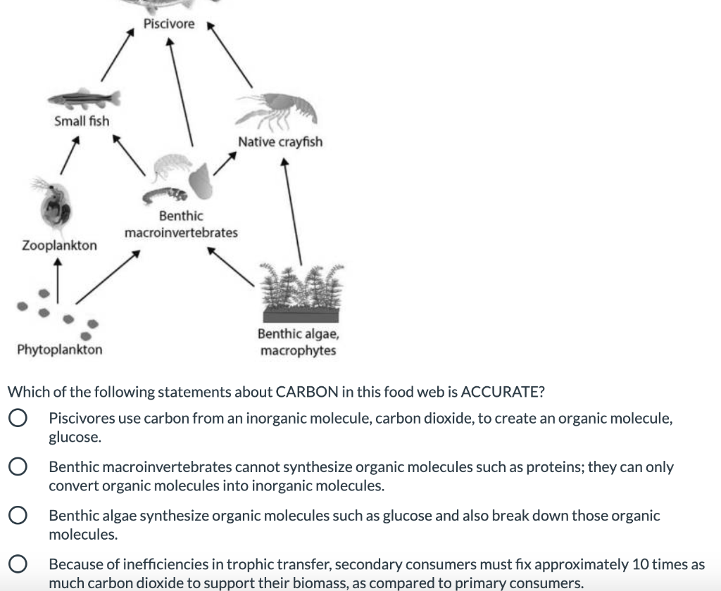 Solved Piscivore Small fish Native crayfish Benthic | Chegg.com