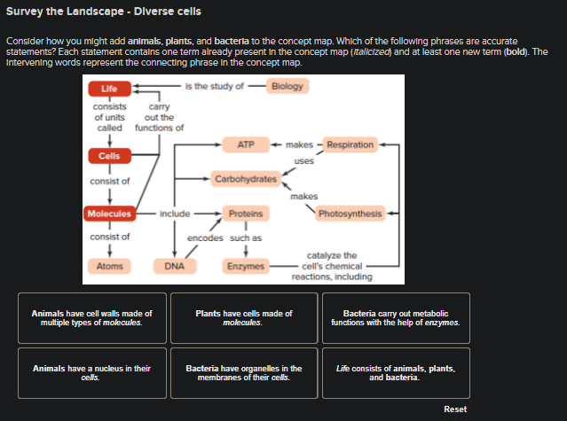 Solved Survey The Landscape Diverse Cells Consider How You Chegg