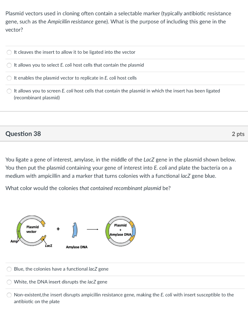 Solved Plasmid vectors used in cloning often contain a