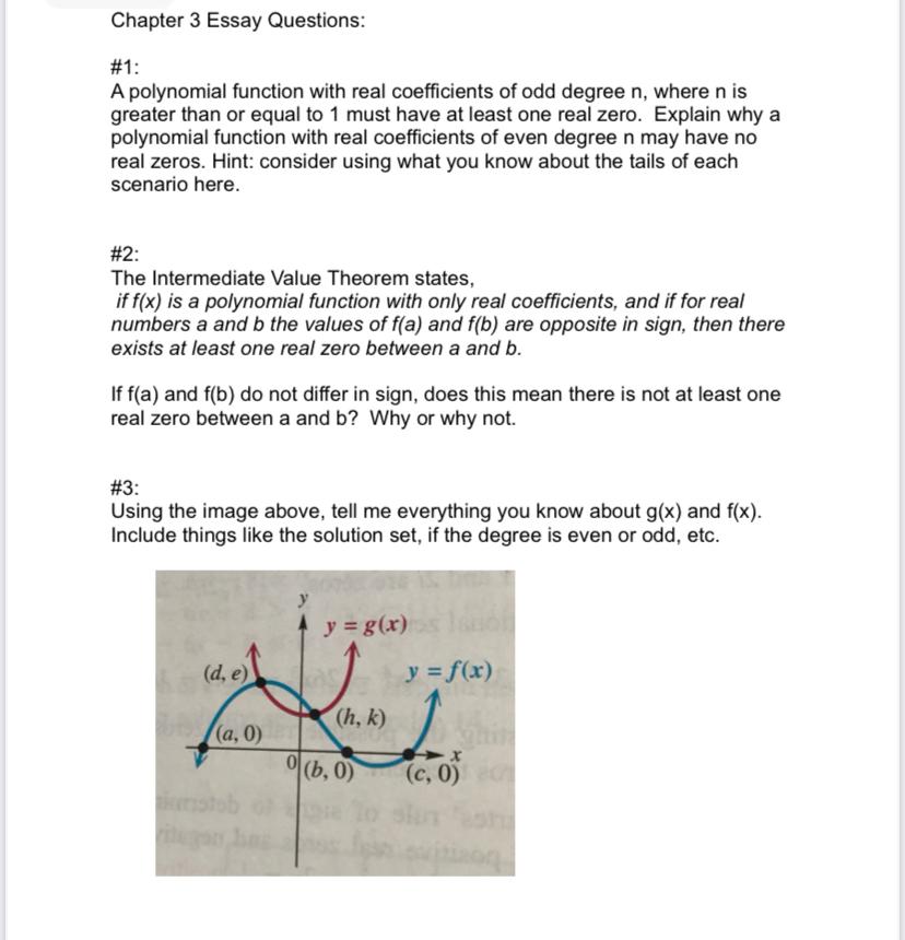 essay for polynomial function