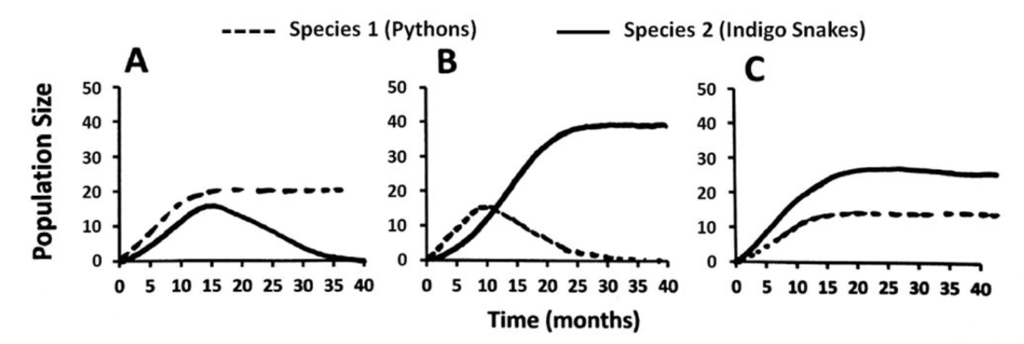 Solved As Burmese pythons spread north, they are beginning | Chegg.com
