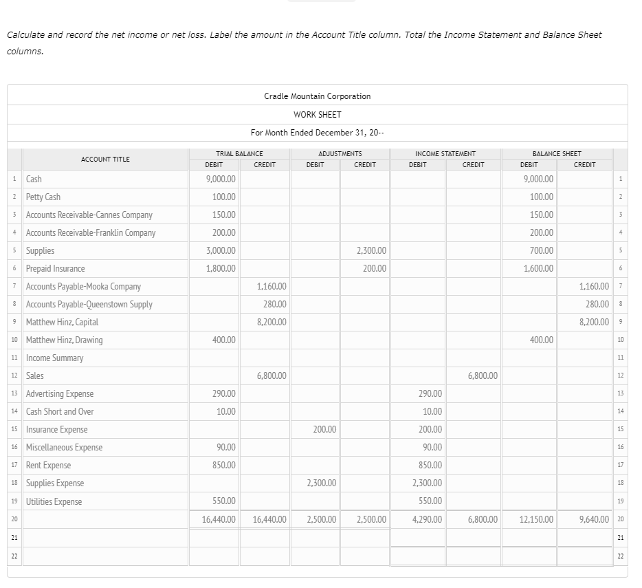 net loss income statement