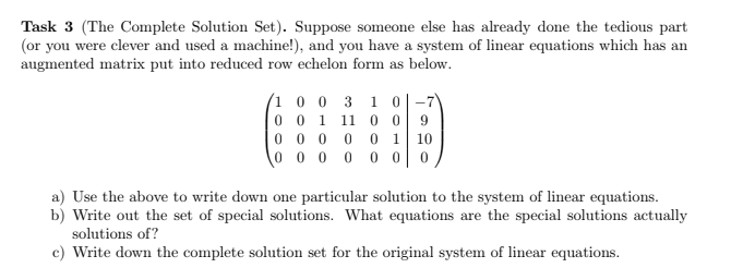 Solved Task 3 (The Complete Solution Set). Suppose someone | Chegg.com