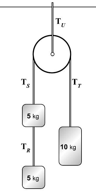 Solved Assume that the ropes and pulleys have no mass and | Chegg.com