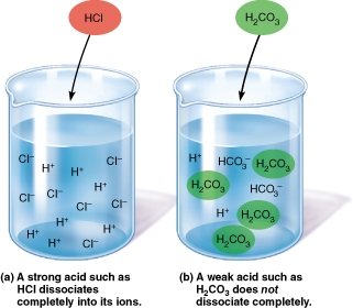 Solved Which of the following chemicals should be added to | Chegg.com