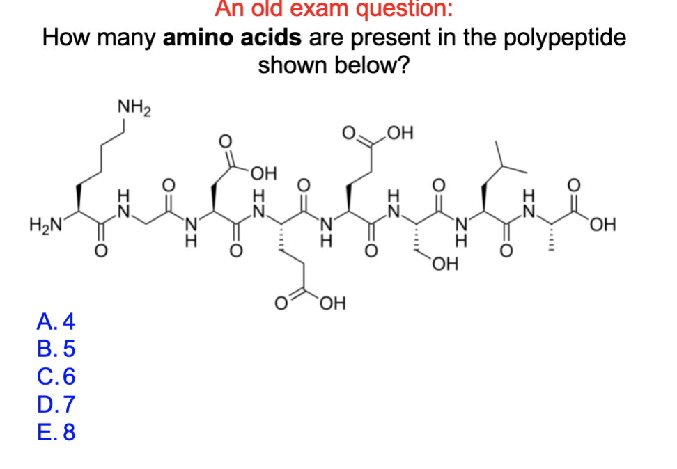 Solved An old exam question:How many amino acids are present | Chegg.com
