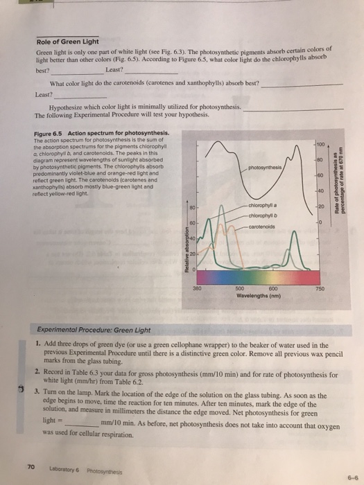 Solved Can you please help me with a simple and short | Chegg.com