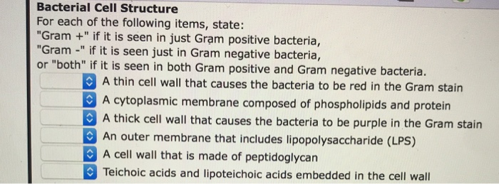 Solved Bacterial Cell Structure For each of the following | Chegg.com