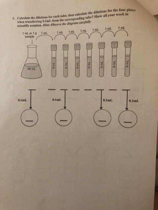 Solved 1 Calculate The Serial Dilutions Using The Following