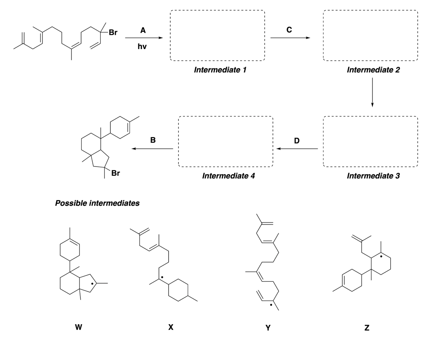 Solved Q1A: For the above radical reaction, label the steps | Chegg.com