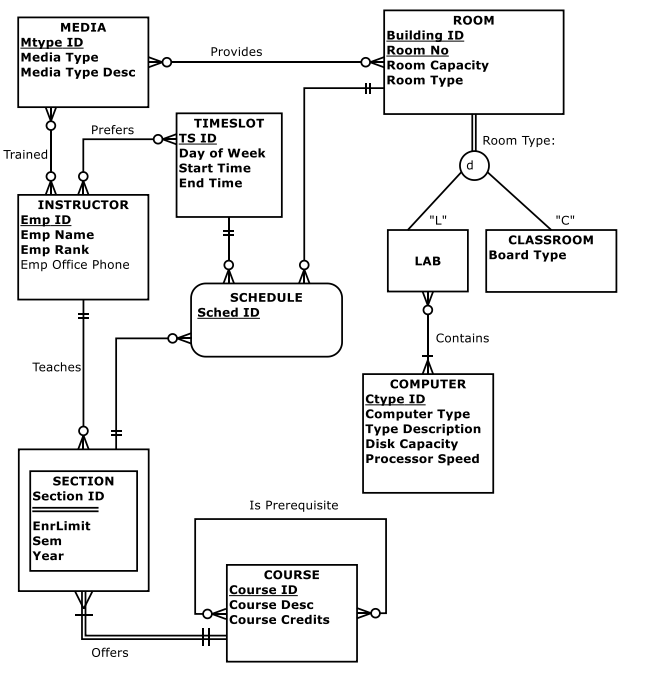 Solved In ERDPlus, create ER diagrams and convert these | Chegg.com