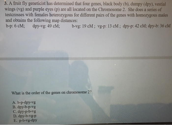 Solved 3. A fruit fly has determined that four