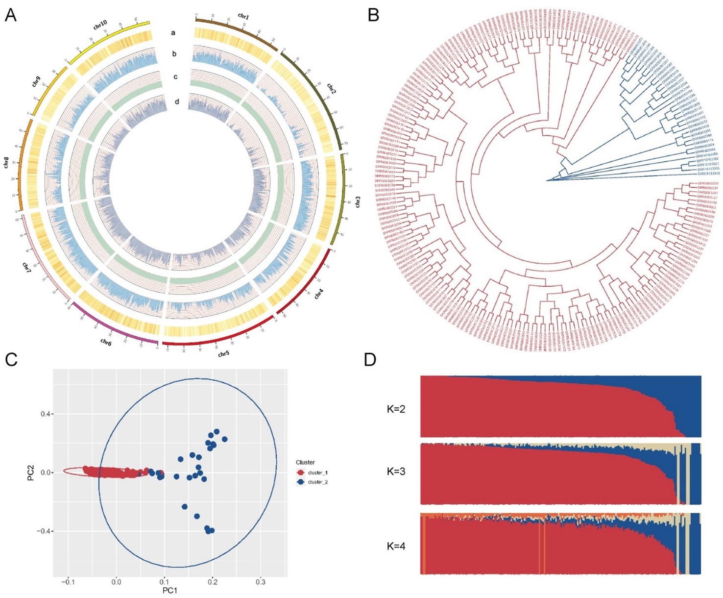 Solved A.1) ﻿Are genes evenly distributed across the genome? | Chegg.com