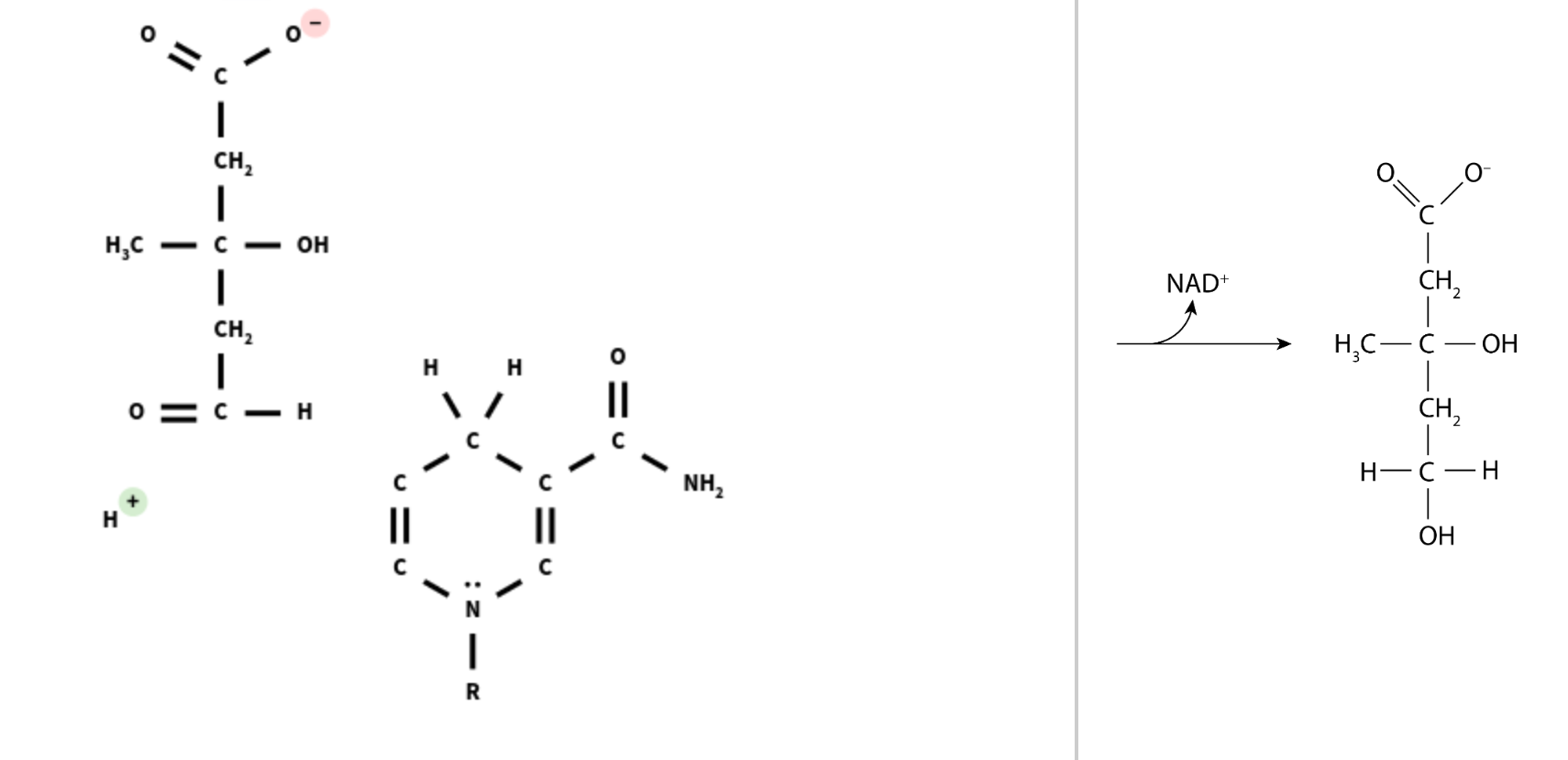 H.C
?
I
CH?
I
- C - ??
I
CH?
I
? - ?
||
? ?
D-z:
II
NH?
NAD+
CH2
HC-C
??
CH2
?— ? — ?
I
??