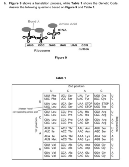 Solved b. Figure 9 shows a translation process, while Table | Chegg.com