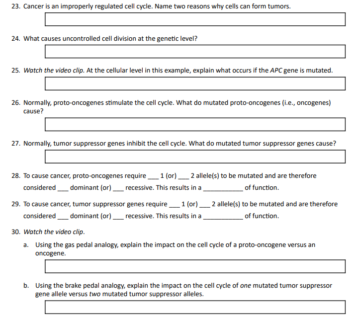 Solved 23. Cancer is an improperly regulated cell cycle. Biology Diagrams