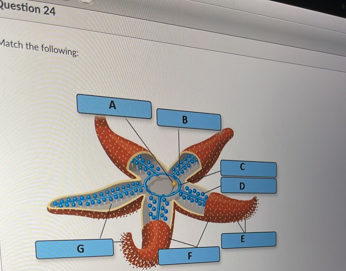 Solved Match The Following: | Chegg.com