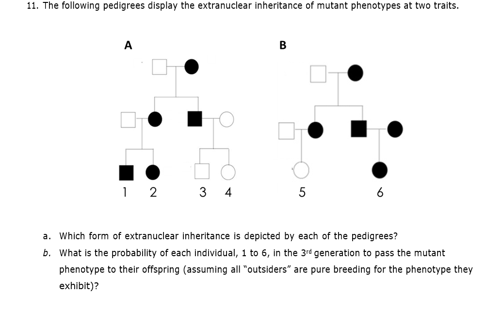 Solved 11. The following pedigrees display the extranuclear | Chegg.com
