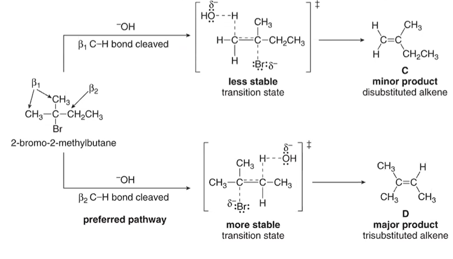 Solved # HO :0:01 -OH -H CH3 H-CC-CH2CH3 B, C-H bond cleaved | Chegg.com