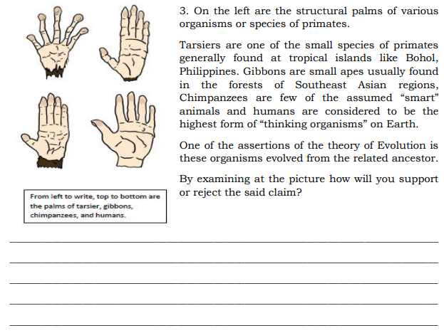 Solved 3. On the left are the structural palms of various | Chegg.com