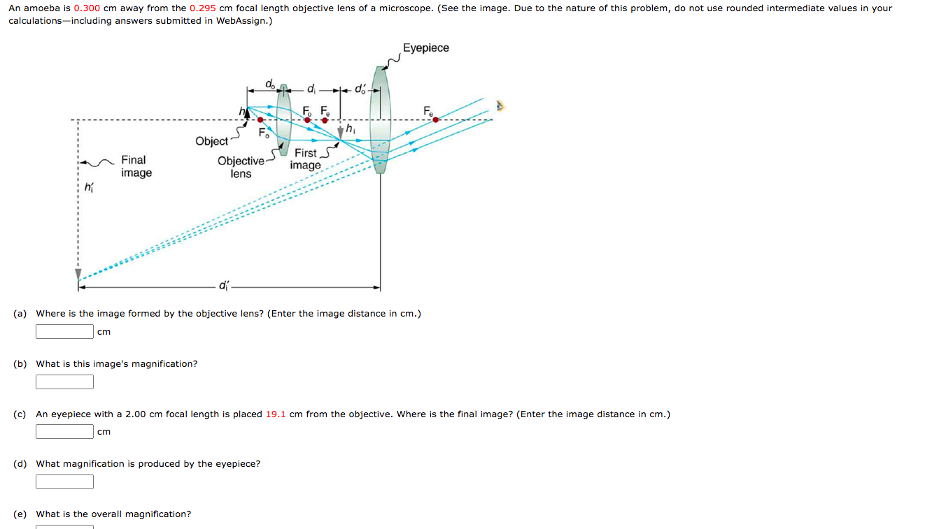 Solved (a) Where is the image formed by the objective lens?
