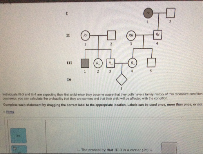 Solved Rr IV edividuals 1t-3 and Iill4 are expecting their | Chegg.com