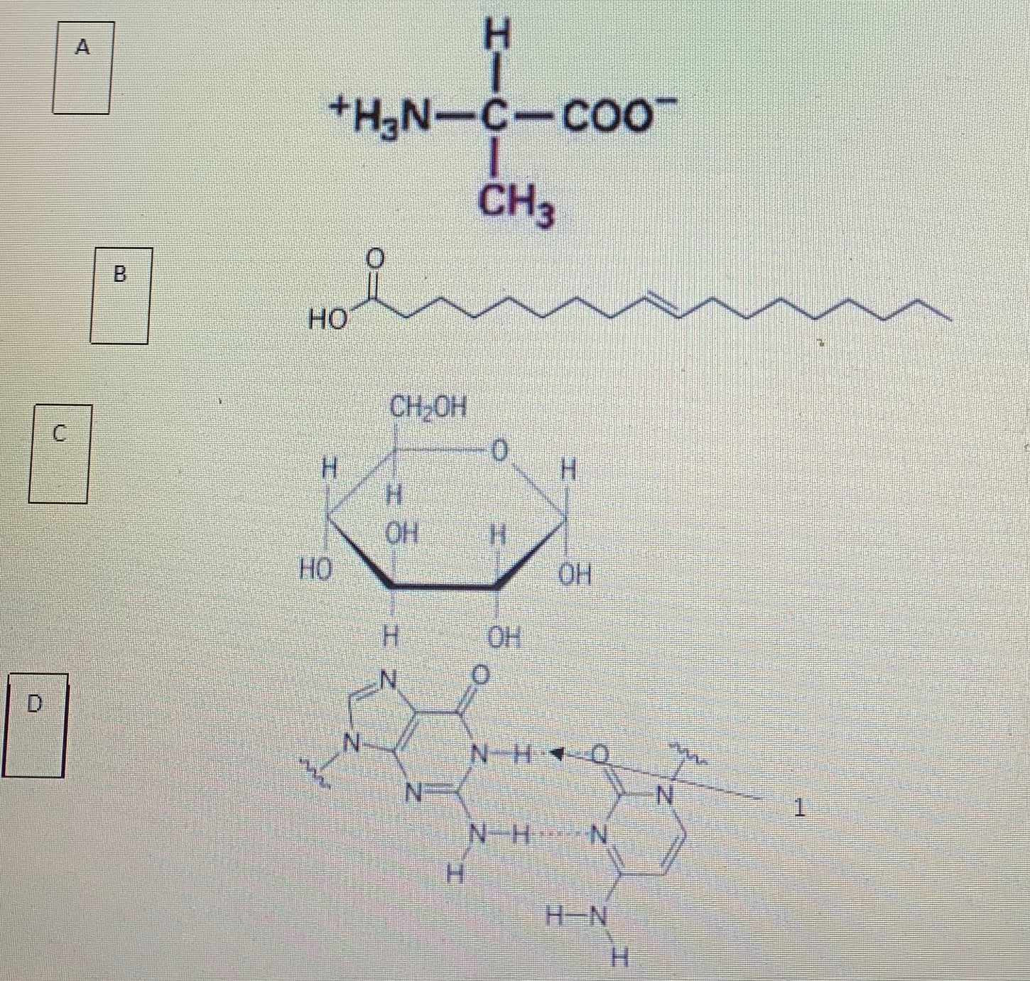 Solved A B C D | Chegg.com