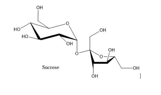 Solved 3. Does sucrose exist in an anomeric form? Why or why | Chegg.com