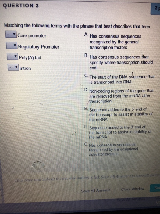 Solved QUESTION 3 Matching the following terms with the | Chegg.com