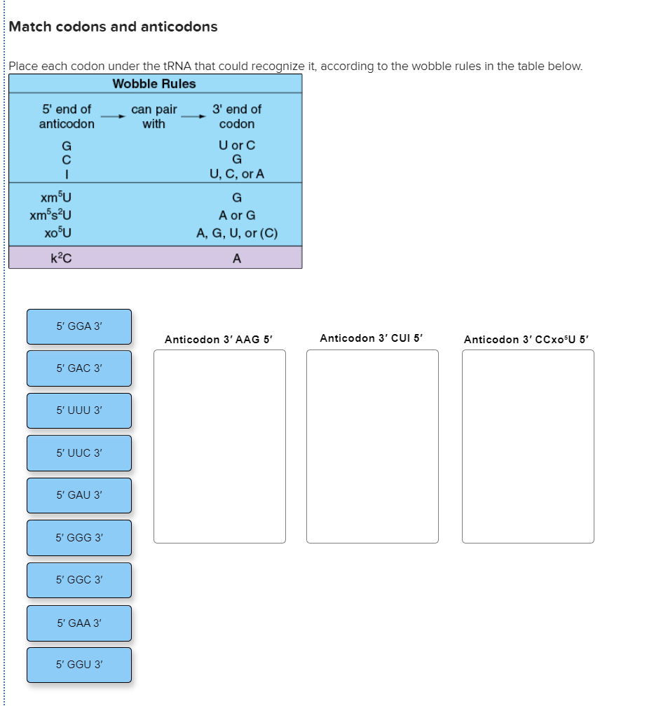 Solved Match codons and anticodons Place each codon under | Chegg.com