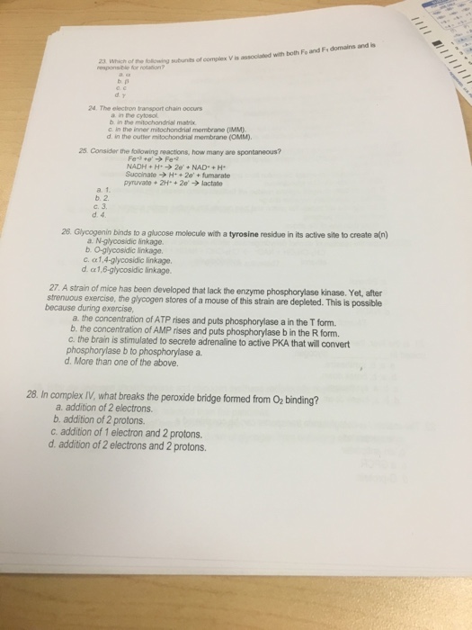 Solved Which of the following subunits of complex V is | Chegg.com