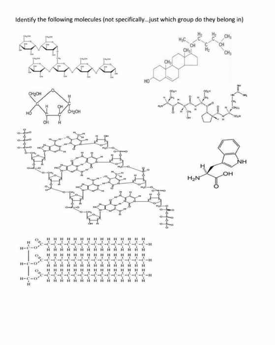 Solved Identify the following molecules (not specifically... | Chegg.com