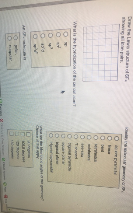 Draw The Lewis Structure Of Sf4 Showing All Lone Pairs - Draw Easy